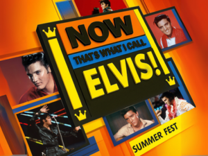 Now Thats What I Call Elvis