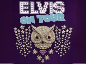 Elvis on Tour
